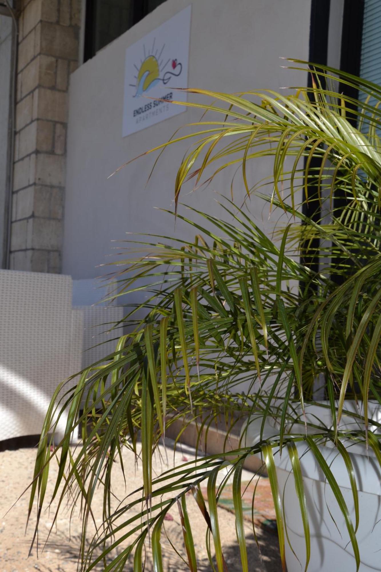 Endless Summer Apartments سكانتْسانو المظهر الخارجي الصورة